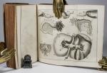 Laurentius Heisterus [Heister, Compendium Anatomicum Totam Rem Anatomicam Brevis