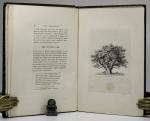 Strutt, Sylva Britannica; or, Portraits of Forest Trees.