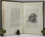 Strutt, Sylva Britannica; or, Portraits of Forest Trees.