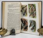 Witherby, The Handbook of British Birds.