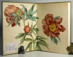 Blunt, The Art of Botanical Illustration [Charles Nelson's Copy].